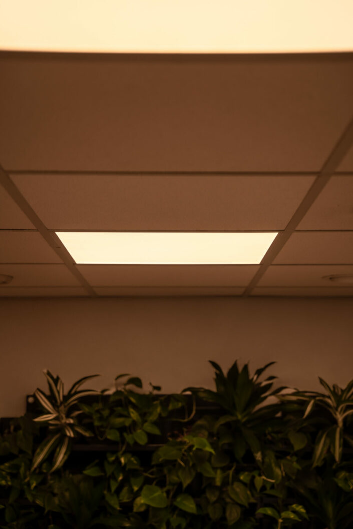lighting design daycare kantoor kinderopvang dynamisch licht Utrecht Design by Meyn